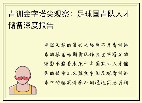 青训金字塔尖观察：足球国青队人才储备深度报告