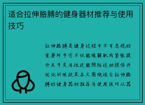 适合拉伸胳膊的健身器材推荐与使用技巧